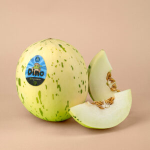 Melon Dino