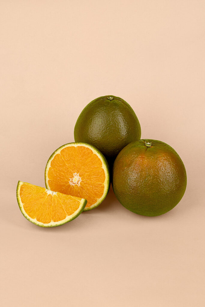 Pomarancza Czekoladowa